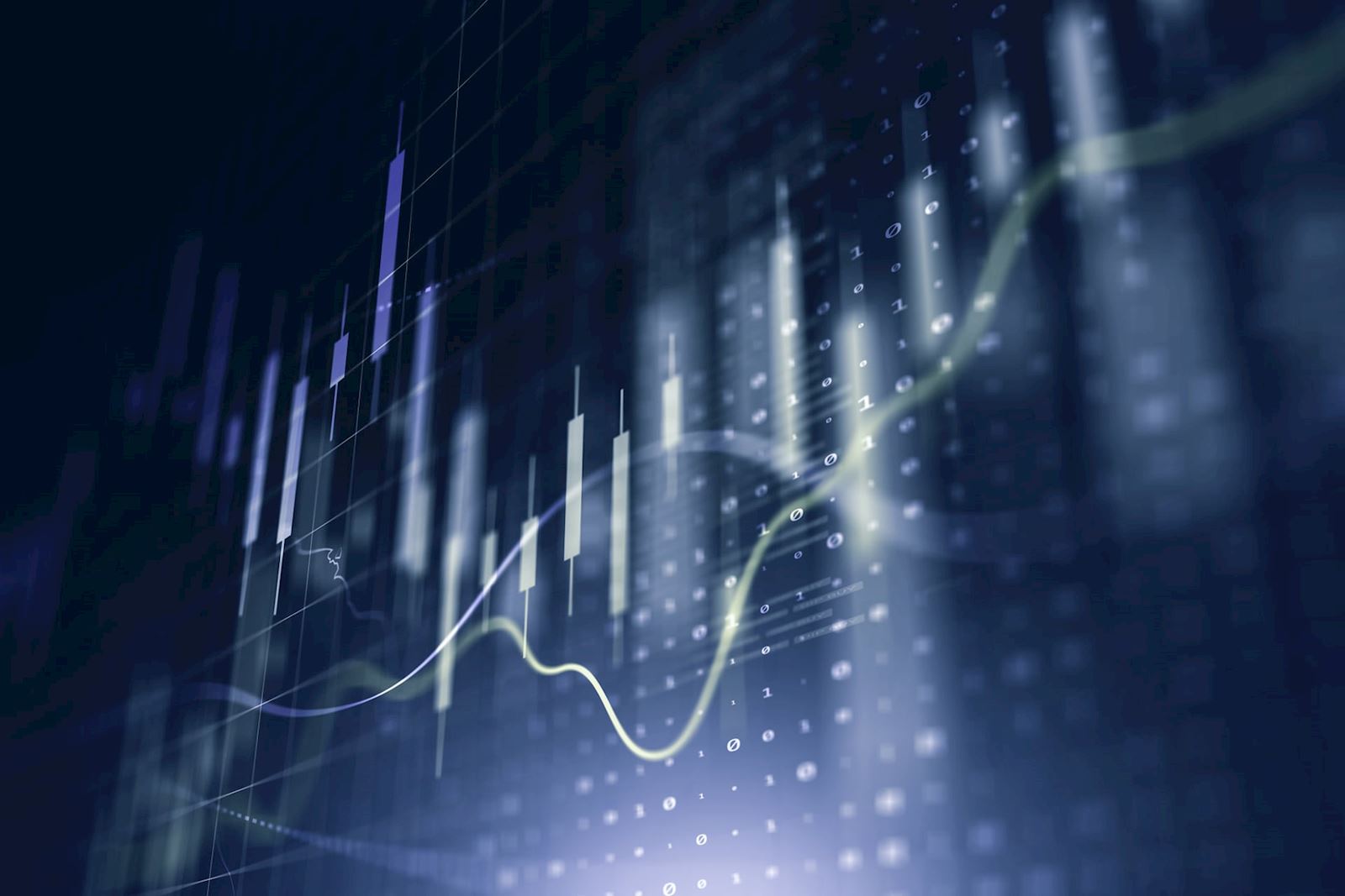 Selected Financial Highlights